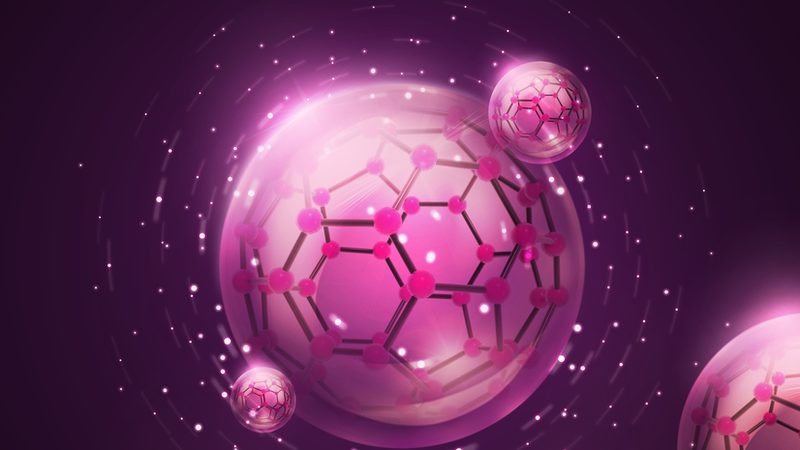 植物组织培养基挑选：关键因素与误区解析