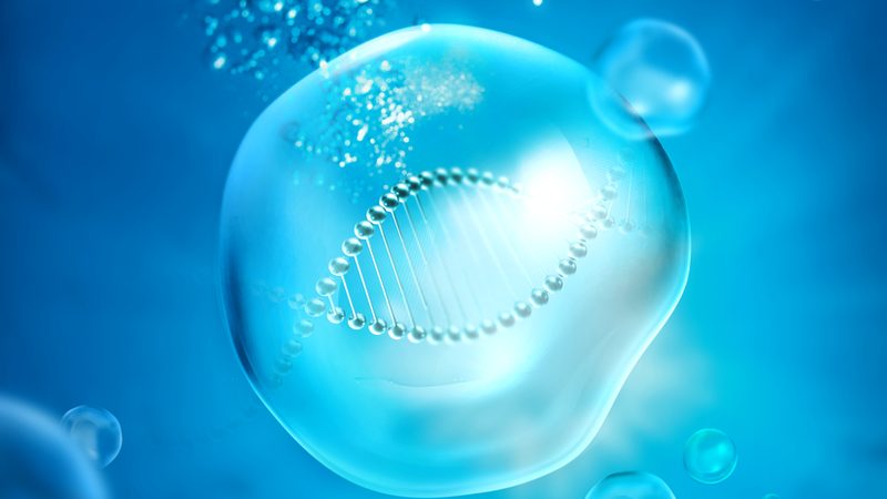 哺乳动物细胞原液生产工艺：揭秘其核心与挑战**