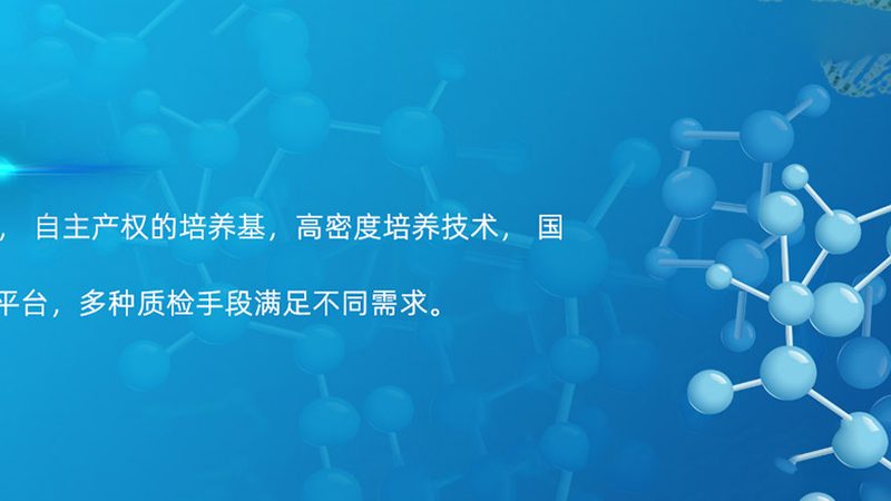 CRO优化工具选型：揭秘提升研发效率的关键要素