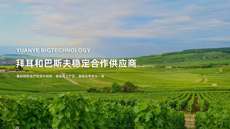 广州电梯有限公司