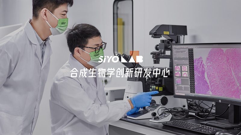 抗体产品质检报告与COA区别：揭秘两者在质量控制中的关键作用