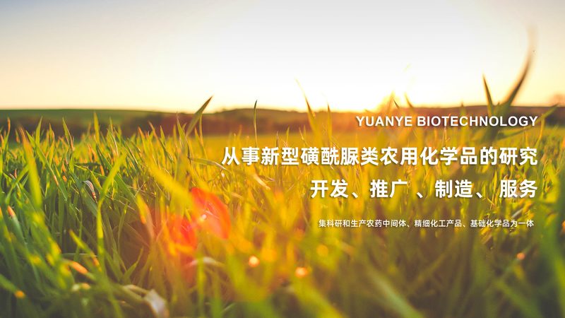 临床CRO服务费用清单：揭秘医药研发背后的成本构成