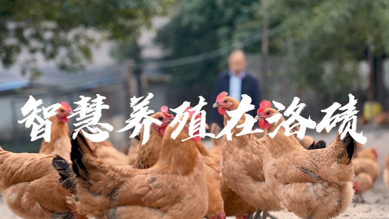 小标题：CRO优化工具概述