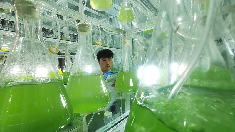实验室PCR仪选购注意事项
